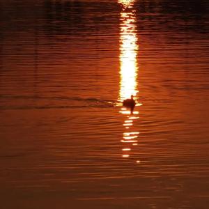 KTV包间多P在线播放
